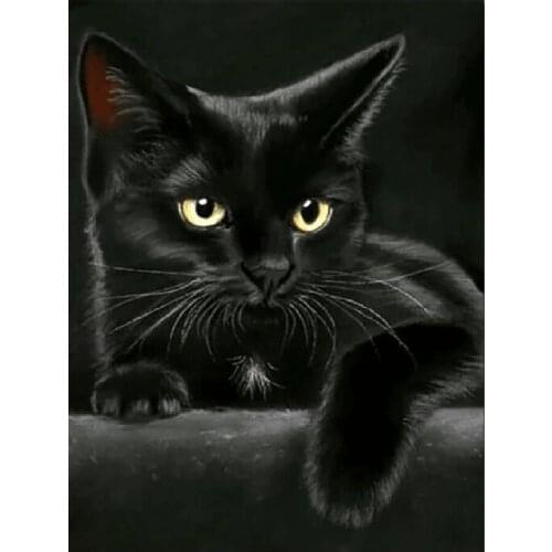Animal black cat diamond painting,full,square,round diamond embroidery mosaic art diamond diy handwork cute pet puzzle diamant