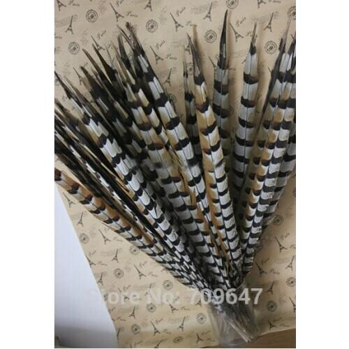 Bulk Loose Pheasant Feathers, 50Pcs/lot,22-24inches 55-60cm Natural Reeves Venery Tail Feathers,plume decoration