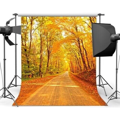 Autumn Backdrop Jungle Forest Backdrops Rustic Dirt Road Highway Golden Leaves Nature Photography Background