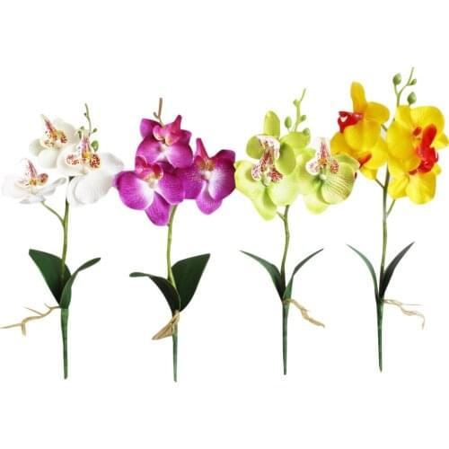 Simulation Flowers Fancy Four Butterfly Orchid Meaty Plant Bonsai Flower Arranging Accessories can CSV
