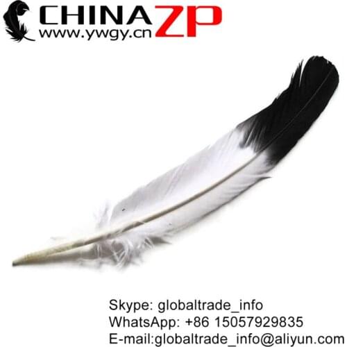 CHINAZP Factory 50pcs/lot 30~35cm(12~14inch) Exporting Good Quality Dyed Black Half Dipped Tom Turkey Rounds Wing Quill Feathers