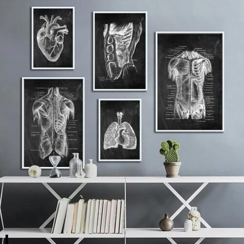 60*90cm Human Anatomy Poster Vintage Canvas Painting Medical Skeleton Organ Muscular System Body Education Artwork Home Decor