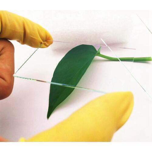 Optical Instrument Diaphragm D12.3x10.6x0.55mm Ar Antireflection High-Transmittance Glass Cover Customization