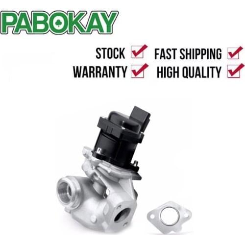 For Peugeot 206 207 307 308 407 1.6 HDI EGR Valve 1618.NR 161859 6NU010171-101 1618.59 9685640480 1618NR 1338675 5S6Q9D475AA