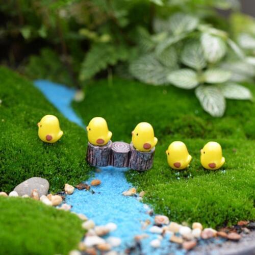 Swan Horse Duck Dolphin Mini Resin Garden Figurines Microlandschaft Setting Miniatures 5PCS/Set DIY Chicken Kawaii