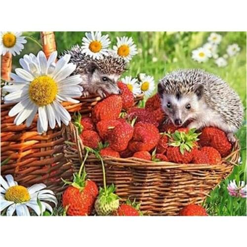 Paint with Diamond Embroidery Diamond Painting Full Round Picture of Rhinestone Home Decor Hedgehog Eating Strawberry