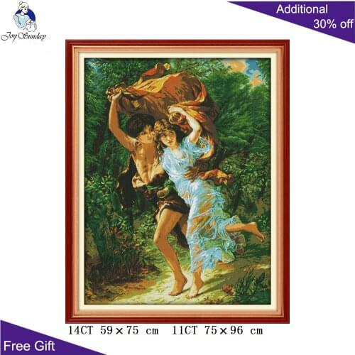 Joy Sunday Raining Lovers Home Decoration R282 Counted and Stamped Raining Lovers Needlework Embroidery Cross Stitch kits