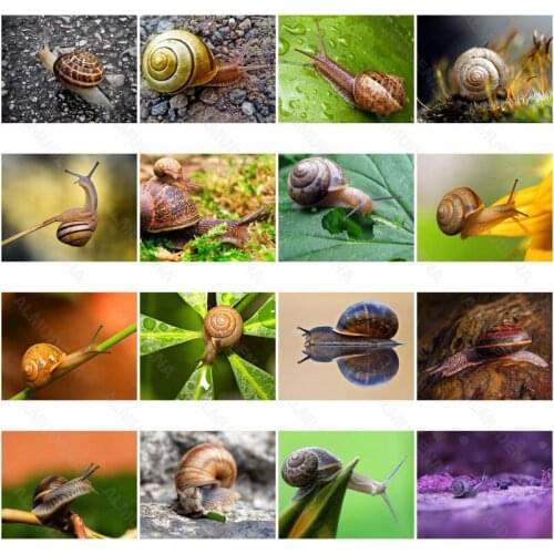 Diy Diamond Painting Snail Green Leaf Nordic Wind Full of Diamond Flowers Handmade Dot Inlaid Diamond Bedroom Living Room Sticke