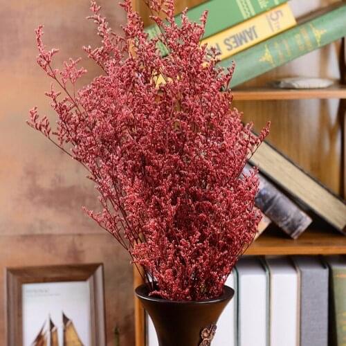 60cm Lover Grass Flower Bouquet Fresh-Cut Natural Preserved Dried Photograph For Garden Living Room Home Art Life Decoration