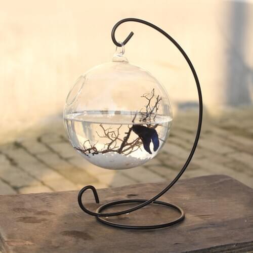 Behogar 15cm Diameter Clear Round Shape Hanging Glass Aquarium Fish Bowl Fish Tank Flower Plant Vase Home Decoration with Rack