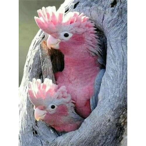 JMINE Div 5D Bird family tree Full Diamond Painting cross stitch kits art High Quality Animal 3D paint by diamonds