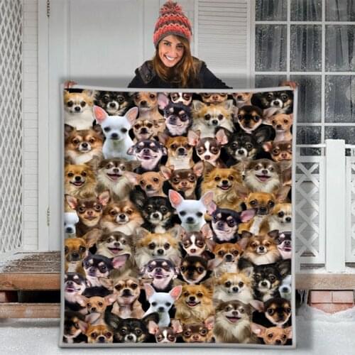 Chihuahua Dogs Funny Dog Puppies Face Soft Throw Plush Sherpa Fleece Blanket