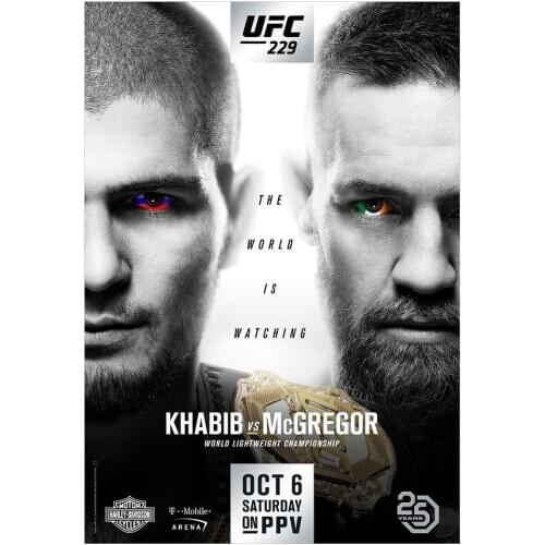 Khabib VS Conor McGregor MMA Fight Event Silk Fabric Wall Poster Art Decor Sticker Bright