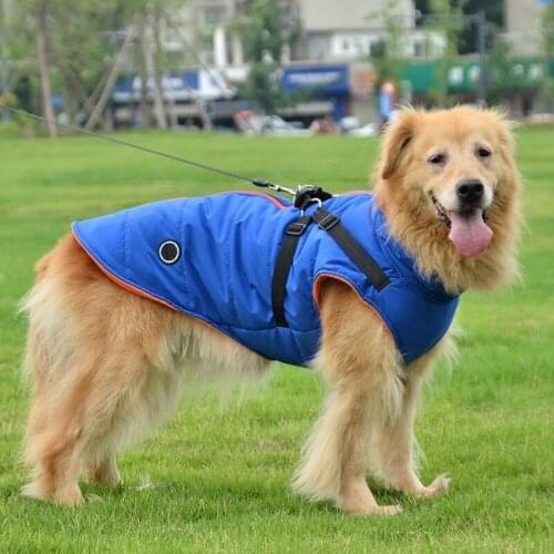Winter New Winter Pet-Print Cold-Proof Jacket, Small Dog Vest And Puppy Winter Two-In-One Suit Warm Clothing Jacket