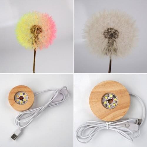 Crystal Ball LED Night Lights Epoxy Resin Mold Home Decoration Silicone Mold Wooden LED Lighted Base Dandelion Dried Flower C1FC