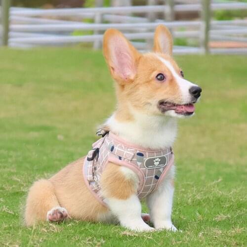 Dog Harness Leash Set for Small Medium Dogs Cat Puppy Chest Strap Pug Chihuahua Bulldog Dog Accessories Vest Harnesses