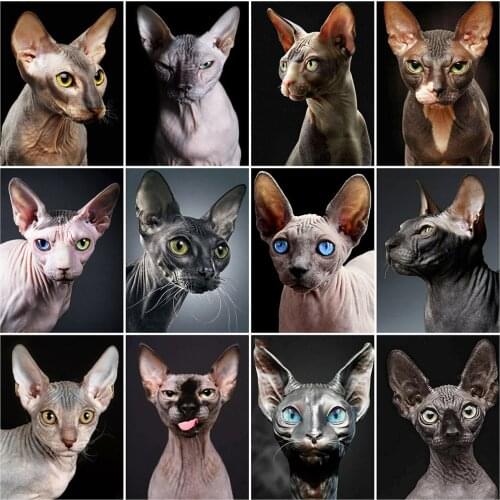 New Arrival Diamond Painting Sphinx Cat 5D DIY Diamond Embroidery Sale Full Square Round Mosaic Animals Handmade Gifts