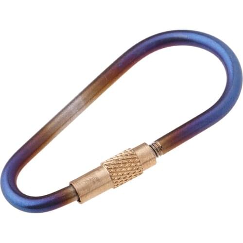 Titanium Keychain Carabiner, D-Ring Buckle, Key Ring Holder Hook for Water Bottle Hanger Backpack Camping Hiking Fishing
