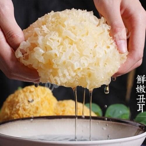Tremella Dried Snow White Fungus Silver Ear Snow Fungus Enhance Human Immunity