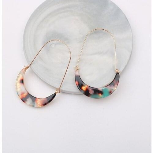 Alloy Crescent Acrylic Leopard Print Female Earrings New