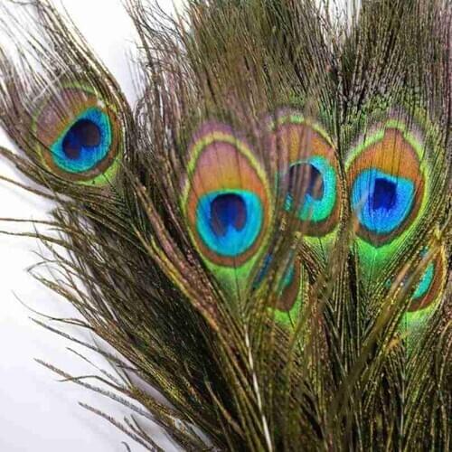 1PC 25-30cm High Quality Peacock Feathers, Peacock Tail Feathers and Peacock Feathers for Home Decoration
