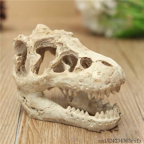 50 Pcs Resin Craft Dinosaur Skull Model Dinosaur Tooth Skull Fossil Teaching Skeleton Model Home Office Halloween Decoration