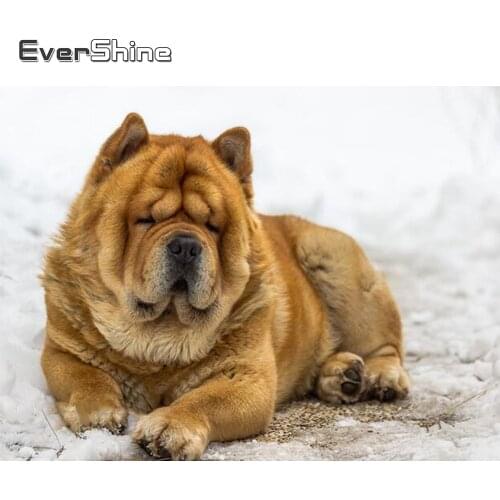 Evershine 5D Diamond Painting Animals Full Square Drill Diamond Embroidery Dog Full Set Winter Scenery Cross Stitch Diamond Art