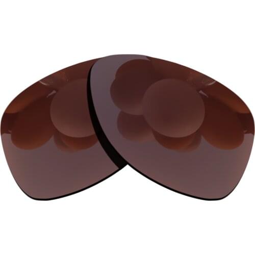 Polarized Sunglasses Replacement Lenses for-Dispatch 2 Frame - Brown