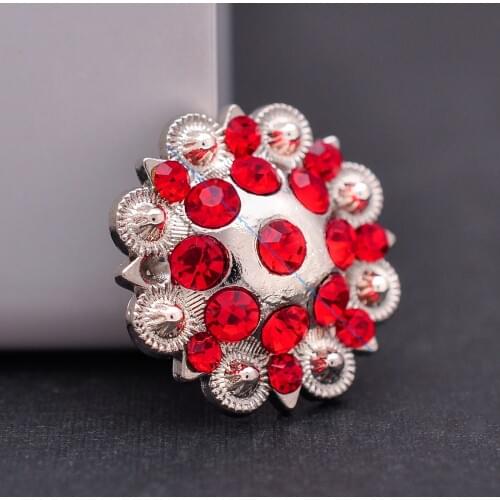 10 Set Horse Saddle Western Rodeo Bridle Berry Bling Red Rhinestone Leathercraft Belt Bag Conchos Accessoriess