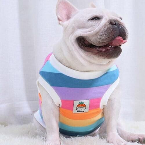 French fighting autumn and winter plus velvet vest vest dog vest thickened winter warm Pug Bulldog fat dog Teddy