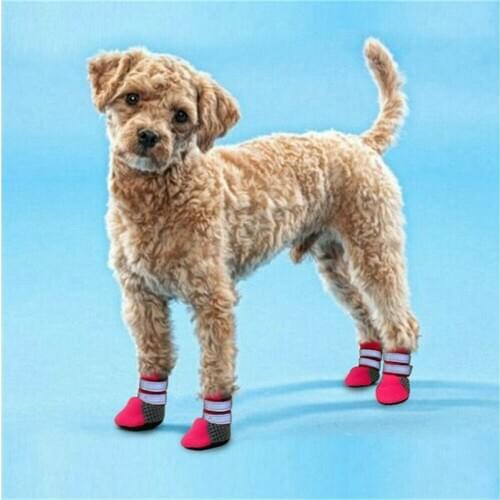 Pet dog running shoes walking shoes comfortable wear resistant pet supplies Spring and summer