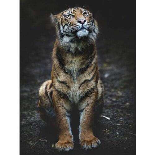 Tiger Fashion 5D Diy Diamond Painting Crafts Round Diamond Embroidery Picture full Rhinestone Wall Decorations Gift