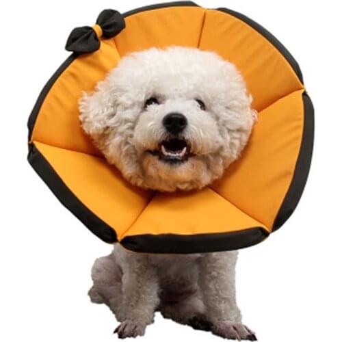 Pet Supplies Elizabeth Neck Protector High-quality Waterproof Dog Collar Anti-licking Wound/Sterilization Cat Necklace Sick Care