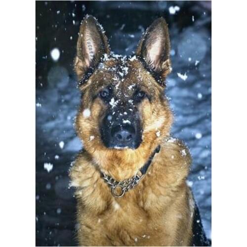 5D DIY Full Round/Square Diamond Painting Animal Dog 3D Embroidery Cross Stitch Rhinestone Mosaic Home Decor Art Y233