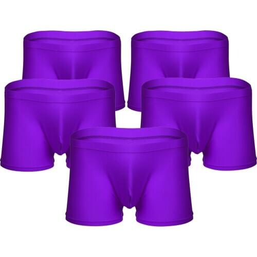 5Pcs Mens Lingerie Boxer Shorts Sexy Bulge Pouch Briefs Underwear Stretchy Fabric Comfortable Shorts Male Underpants Nightwear