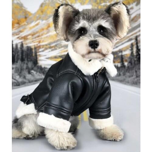 Warm Winter Dog Jacket for Small Dog Down Jackets Leather Jacket Coat,Fur Collar Puppy Fleece Poodle Schnauzer Bulldog Outfit