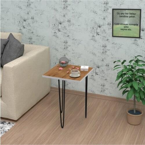 Modern Larose Zigon Coffee table Okm 1 Li 40*25*25 Square coffe table