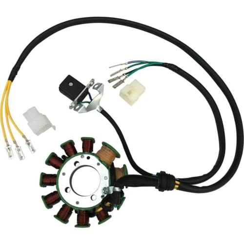 11 Pole Magneto Stator 200cc 250cc Bashan Taotao Dirt Bike ATV Quad Coil Upright