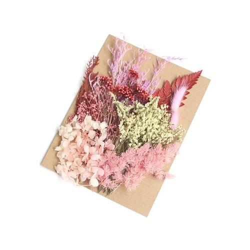 Real Dried Flower Dry Plants For Aromatherapy soap Candle Resin Pendant Making Craft DIY Accessories Christmas Home Decoration