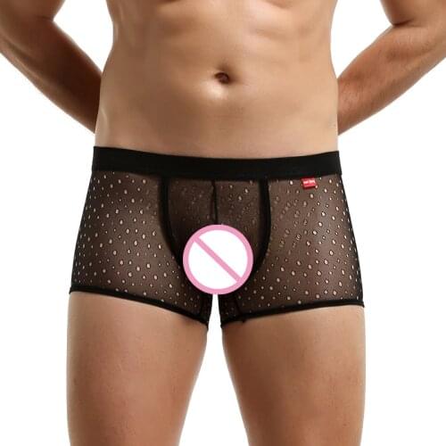Sexy Mens Boxer Shorts Slip Homme Mesh Transparent Underwear Calzoncillos Hombre Gay Panties Cueca Boxershorts Underpants
