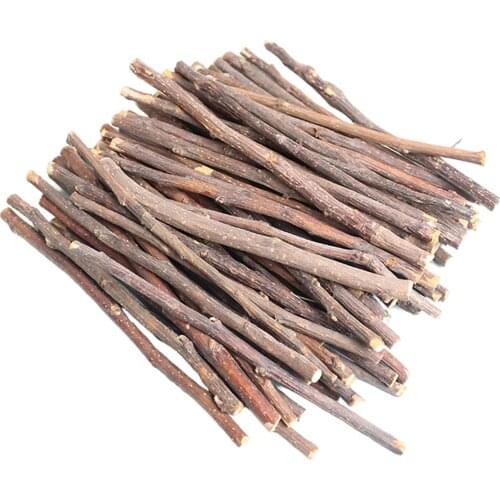 1kg Hamster Apple Wood Chew Sticks Twigs Guinea Pig Squirrels Rodent Animals