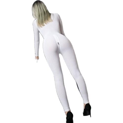Zip Open Crotch Exotic Lingerie Women Striped Long Sleeve Jumpsuit Sexy Teddies Transparent Sexy Bodycon Bodysuit Sheer Rompers