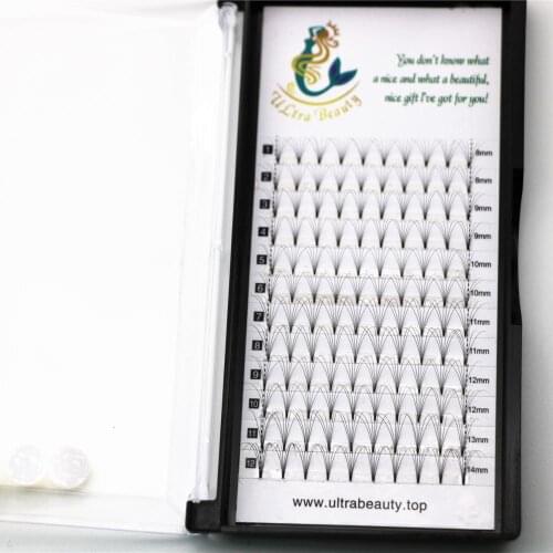 Premade Fans Synthetic Volume Lashes Eyelash Extensions Lashes Vendors Professional Natural Soft Makeup Eyelashes High Quality