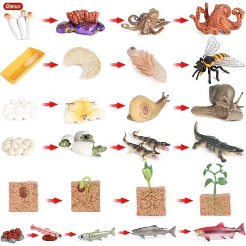 Oenux Animals Growth Cycle Simulation Seed Scorpion Salmon Crocodile Figurines Model Action Figures Baby Education PVC Kids Toy