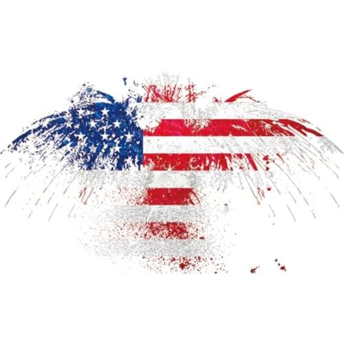 Clothing Patches Eagle Pattern Iron On Patches Thermal Transfer Printing DIY Stickers for Clothes Fashion Style Decoration