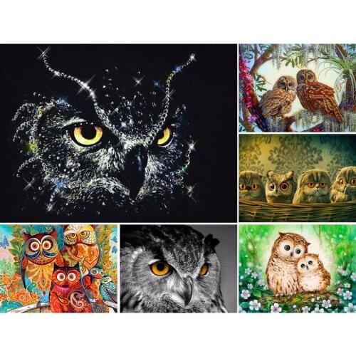 5D DIY Diamond Painting Full Square Animal Owl series Cross Stitch Kits Embroidery Diamond Mosaic Picture of Rhinestones Decor