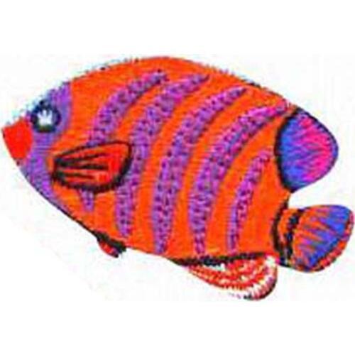 Goldfish Embroidery Emblem Made by Twill with Flat Broder and Iron On Backing Accept Custom and MOQ50pcs Free Shipping by Post