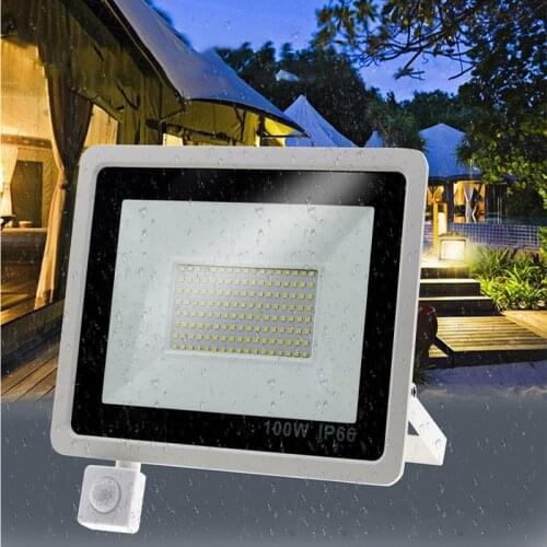 10W 20W 30W 50W 100W LED Floodlight Waterproof PIR Motion Sensor Floodlight Outdoor Wall Lamp Flood Light Spotlight