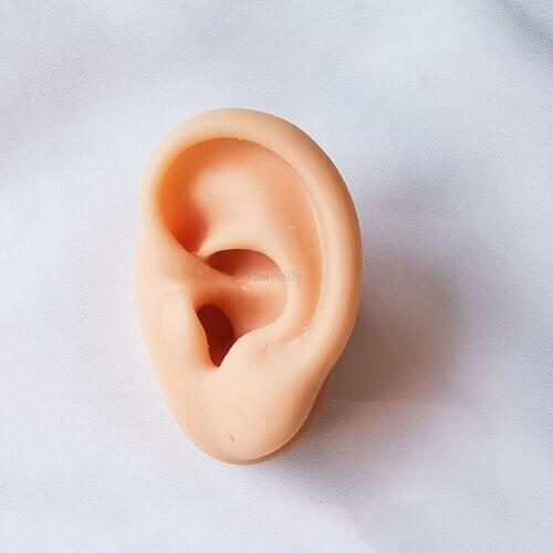 Binjiully Ear Model Ear Acupuncture Model Ear 1:1 Life Size For Ear Acupuncture Press Needle