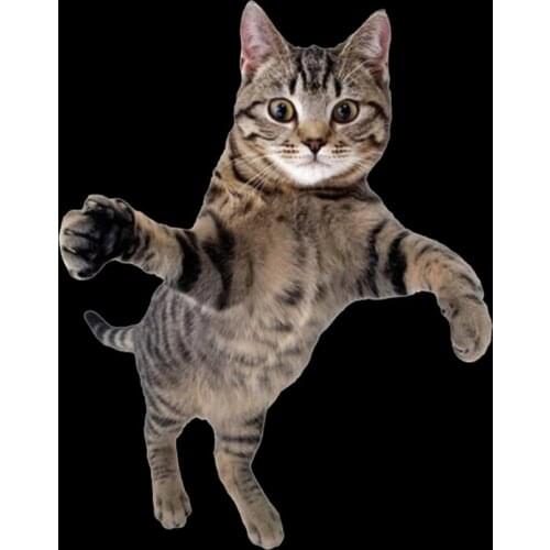 Clothing Patches Cat Pattern Iron On Patches Thermal Transfer Printing Animal Stickers for Clothes Vogue Style Decoration